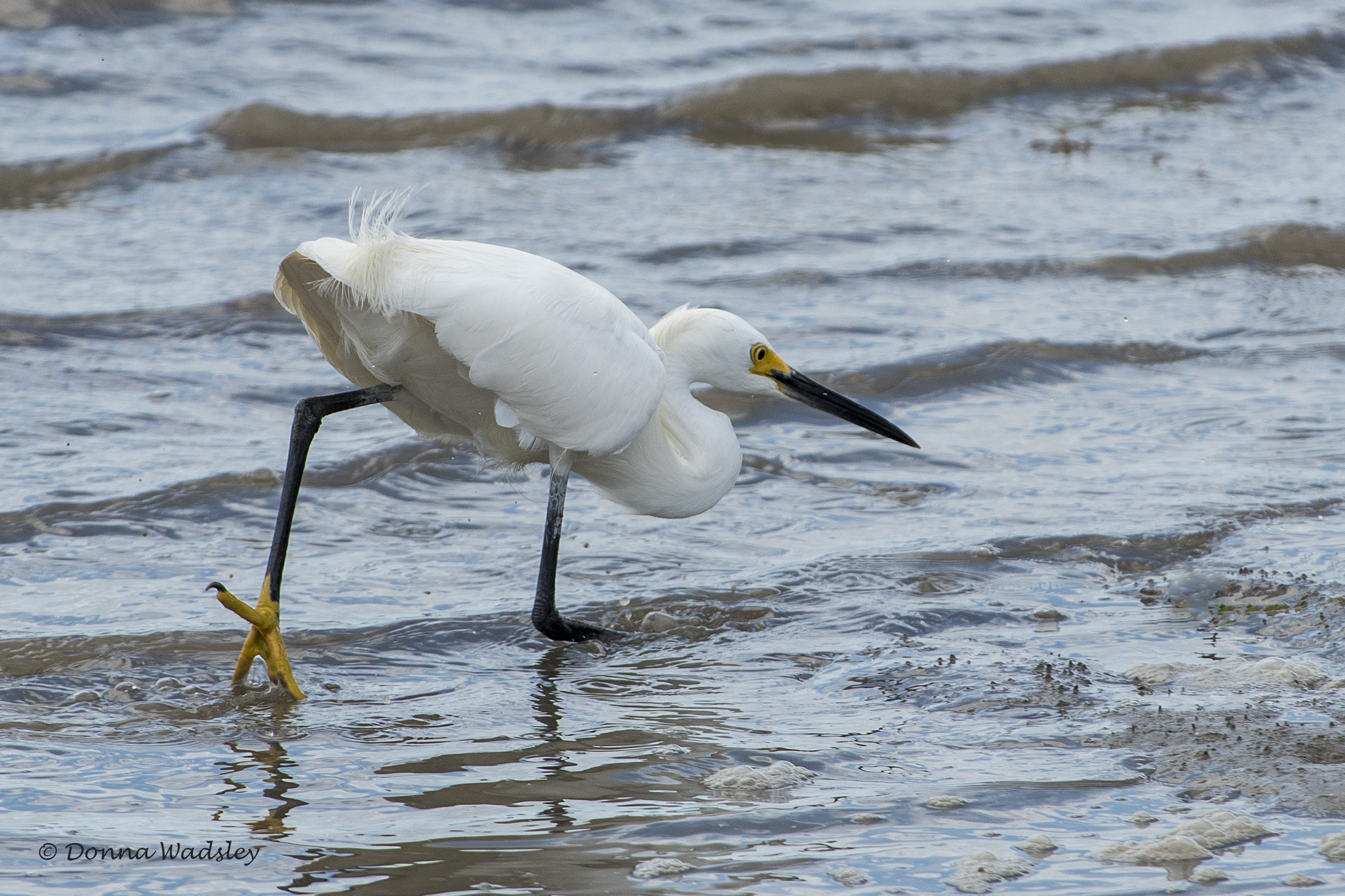 DSC_5105-1 1421