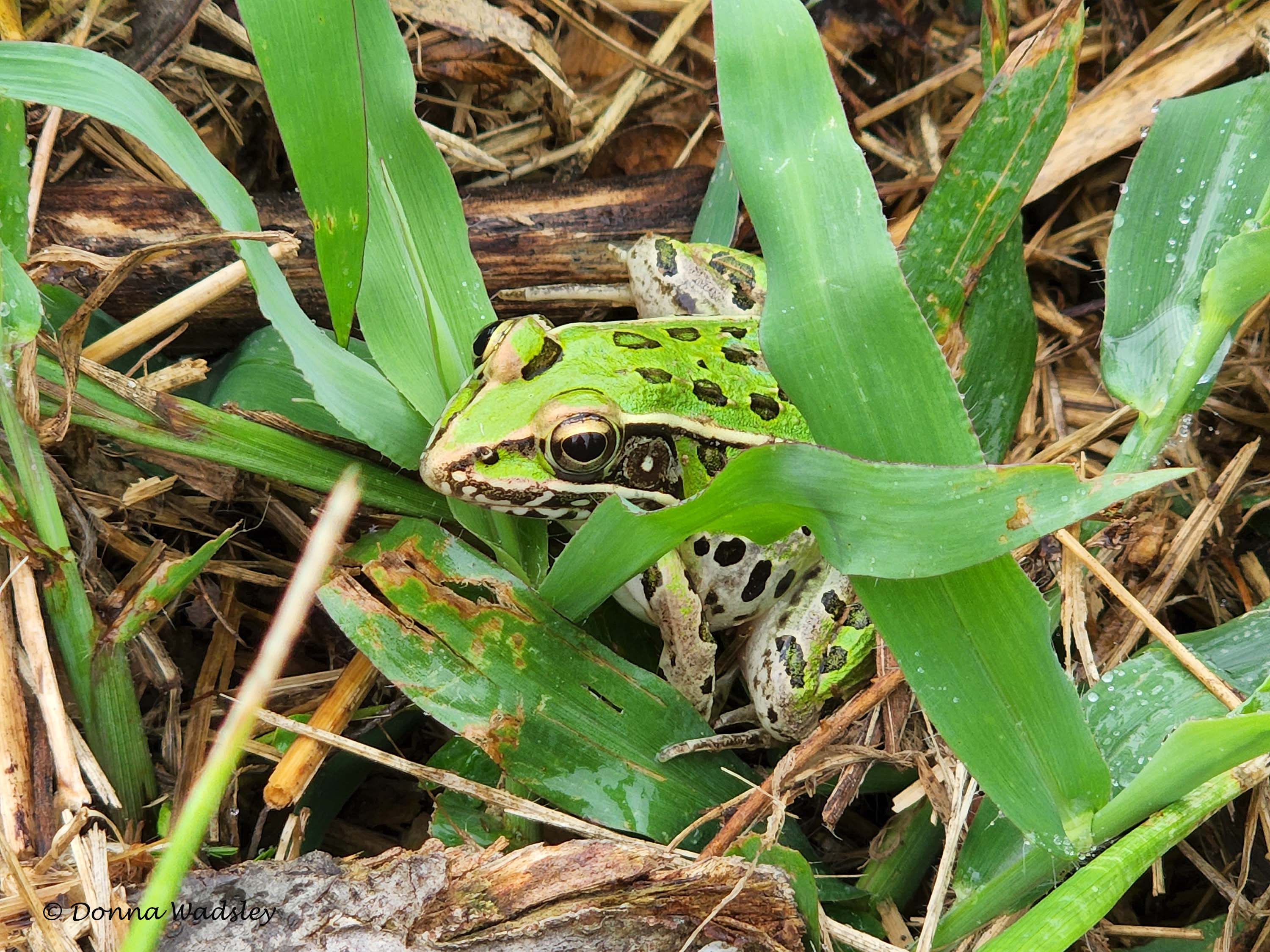 20220907_143515-1 090722