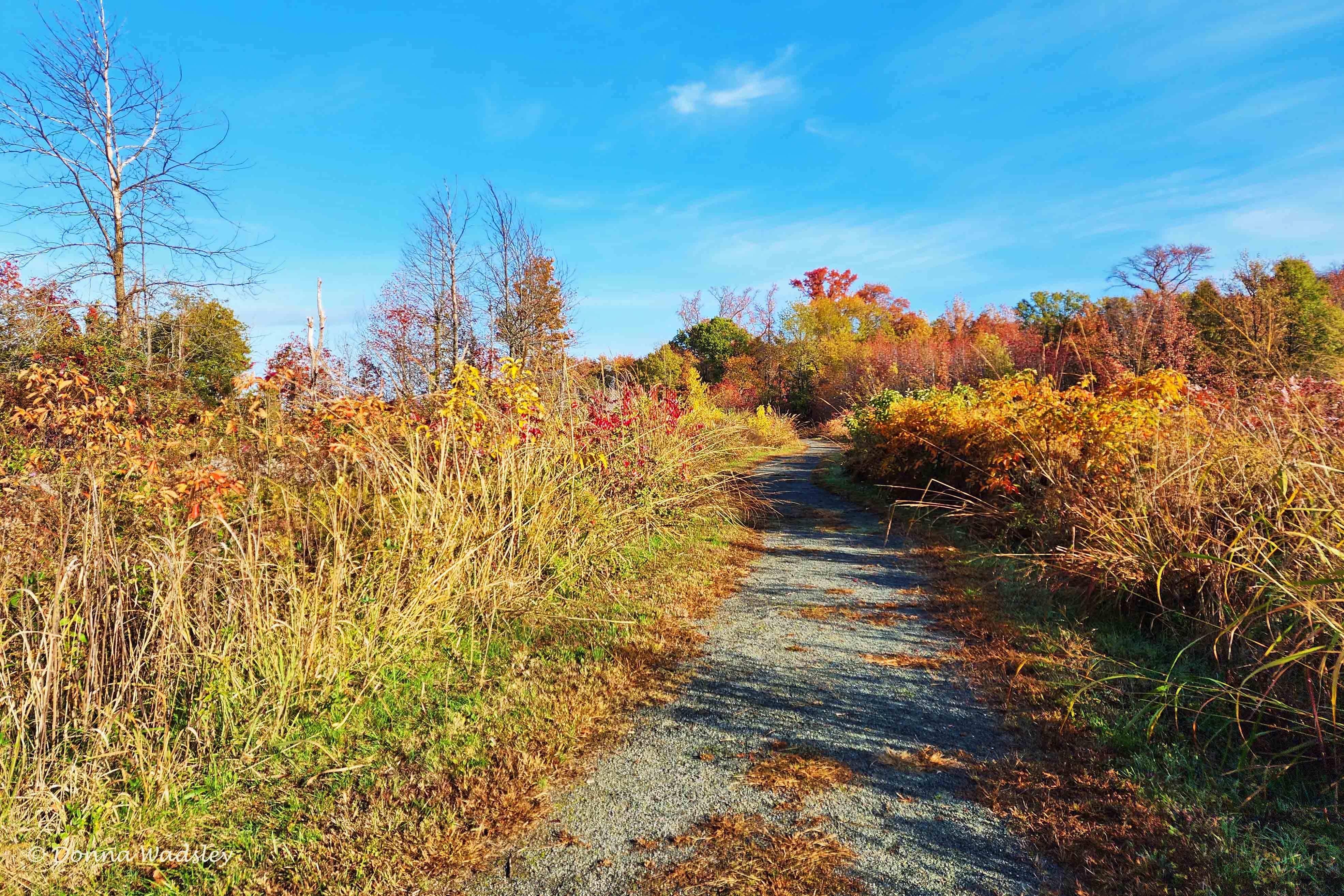 20221105_093805-1 110522