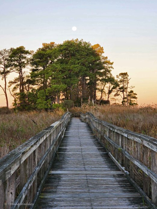 20221109_065246-1 110922