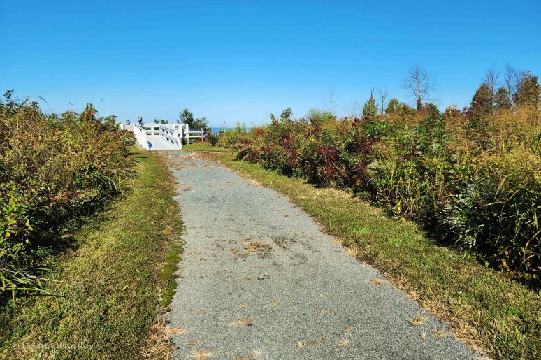 20221007_102936-1 100722