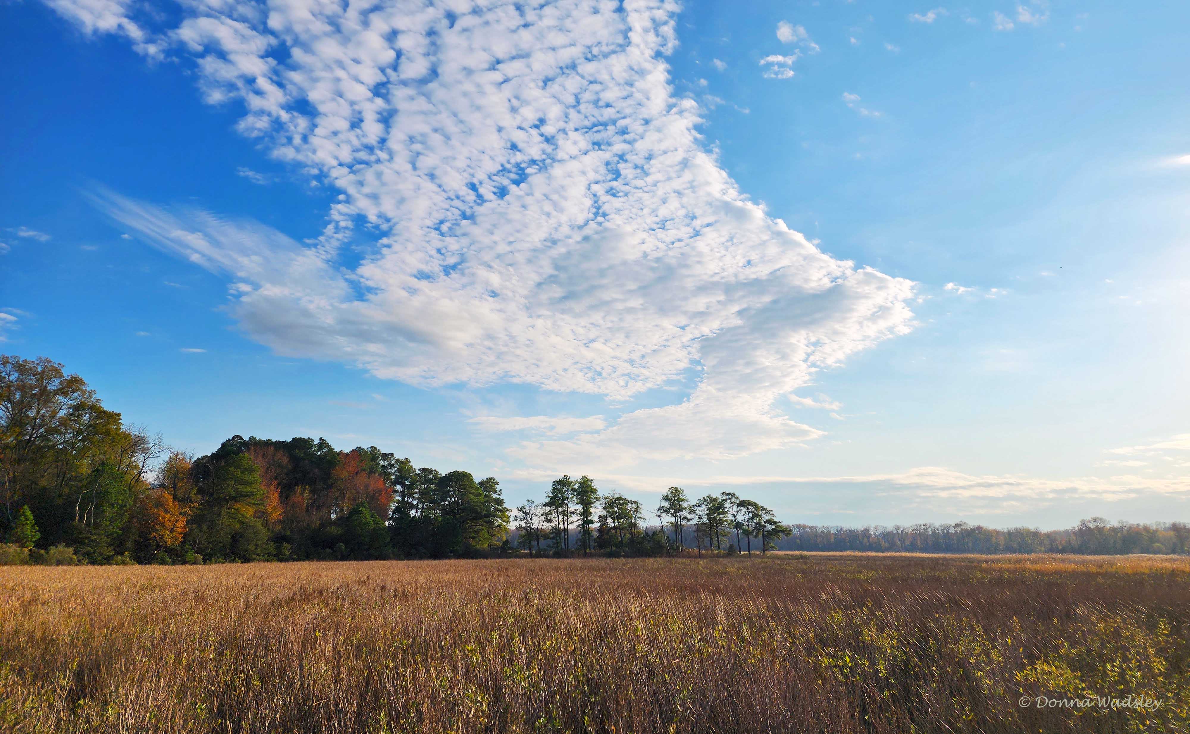 20221112_152714 -1 111222