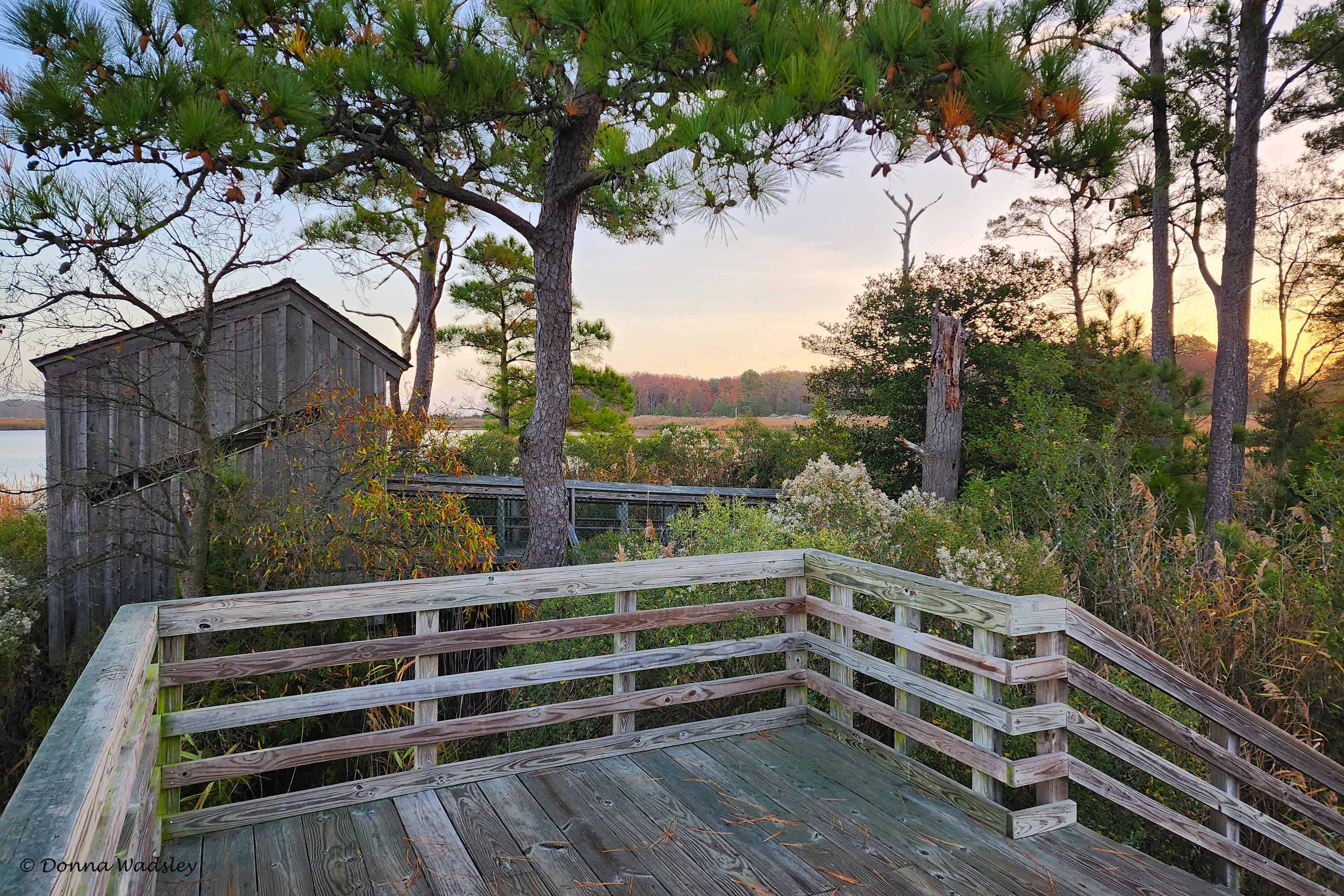 20221105_074955-1 110522