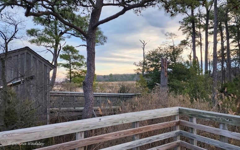 image0000008-1 010423