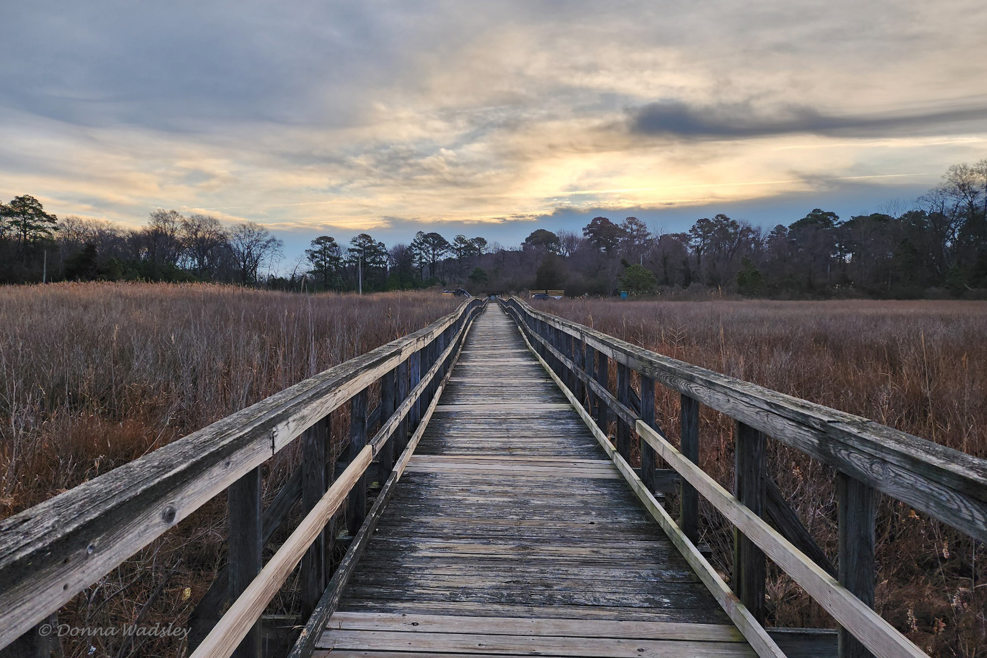 image0000006-1 010423