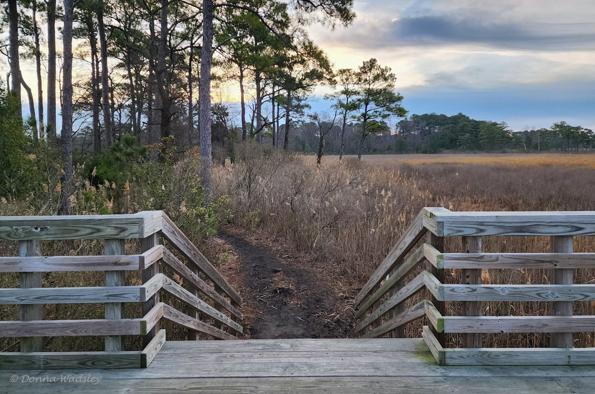 image0000005-1 010523