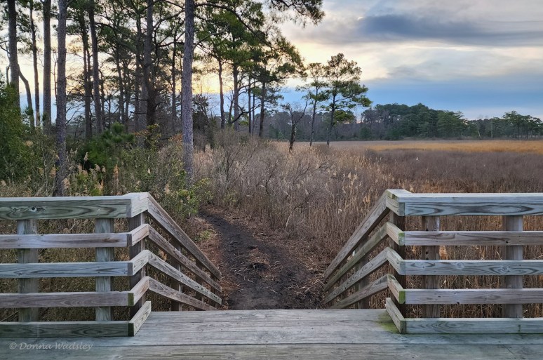 image0000005-1 010523