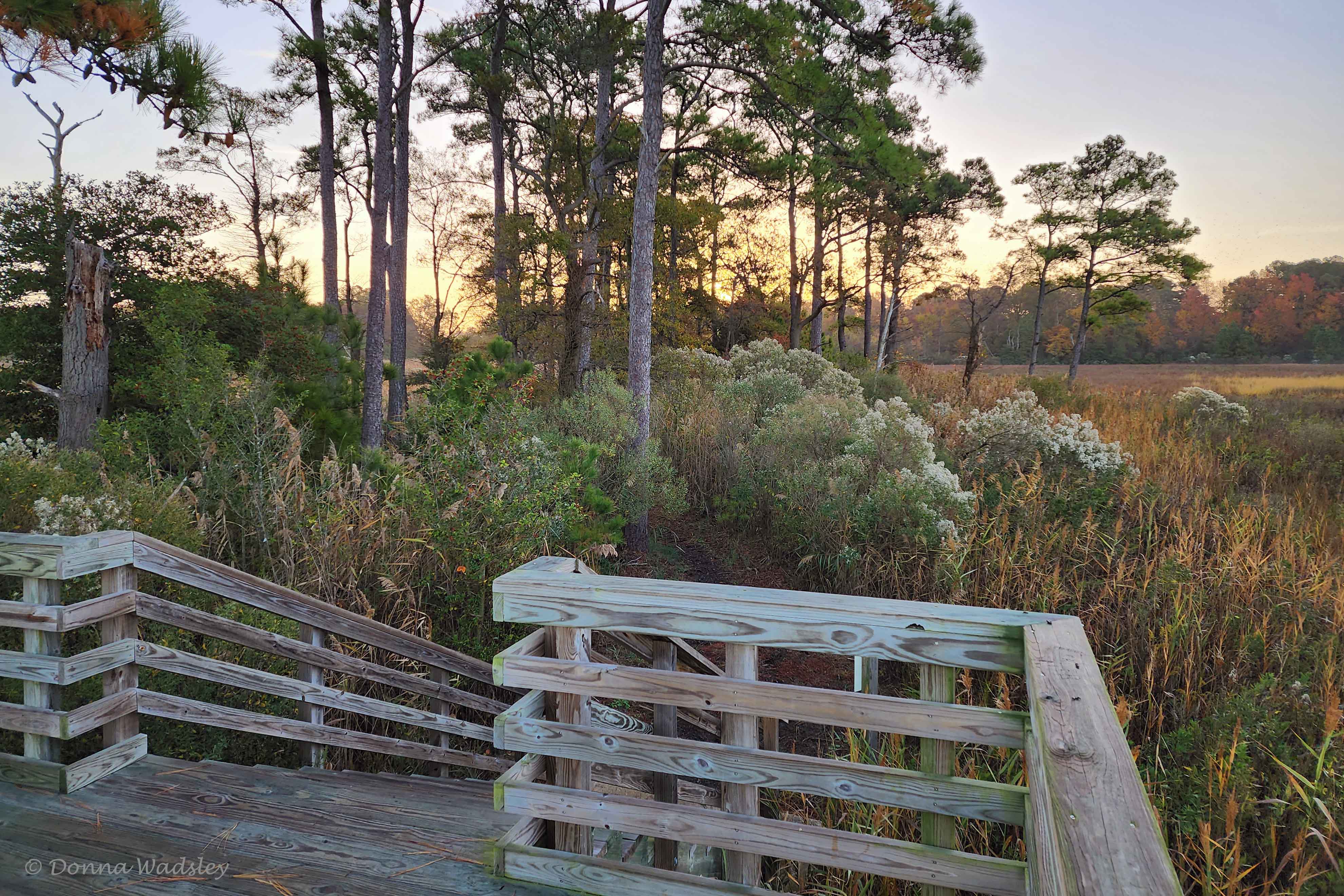 20221105_075005-1 110522