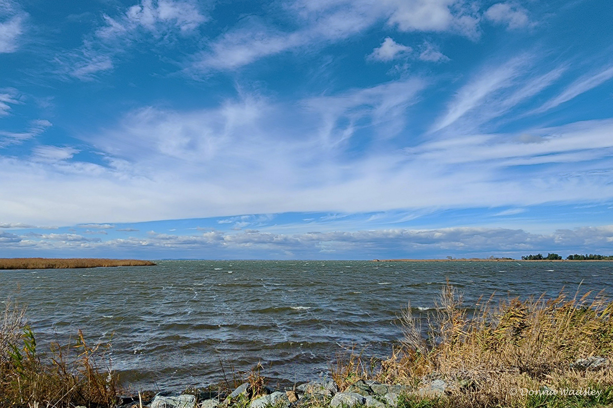 ENNWR waves 02-1 11-16-22