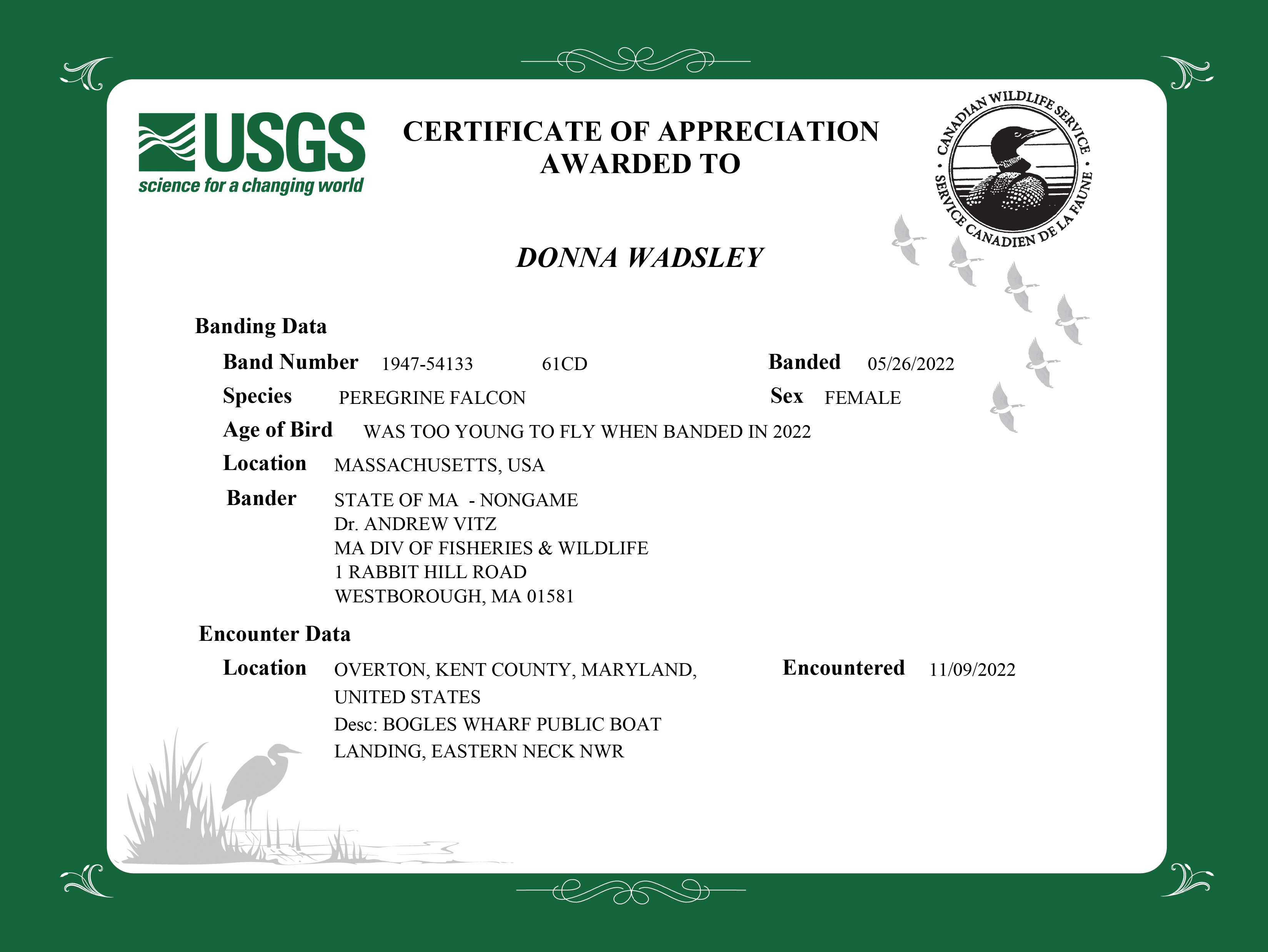 donna.wadsley@gmail.com