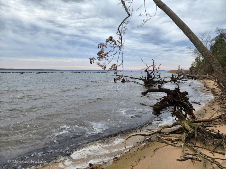 ENNWR Boxes Pt beach 03-1 1-25-23