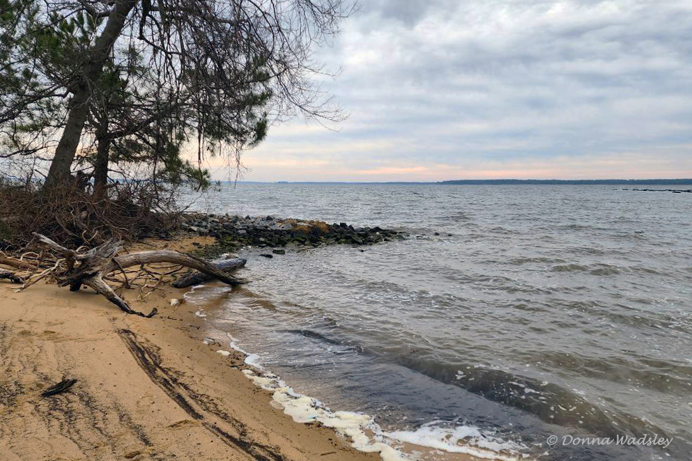 ENNWR Boxes Pt beach 01-1 1-25-23