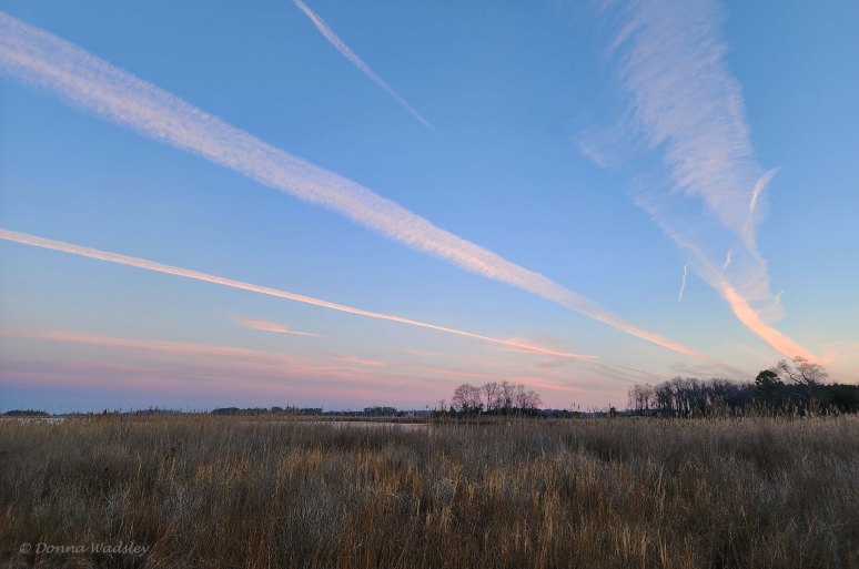 20221221_071848-1 122122