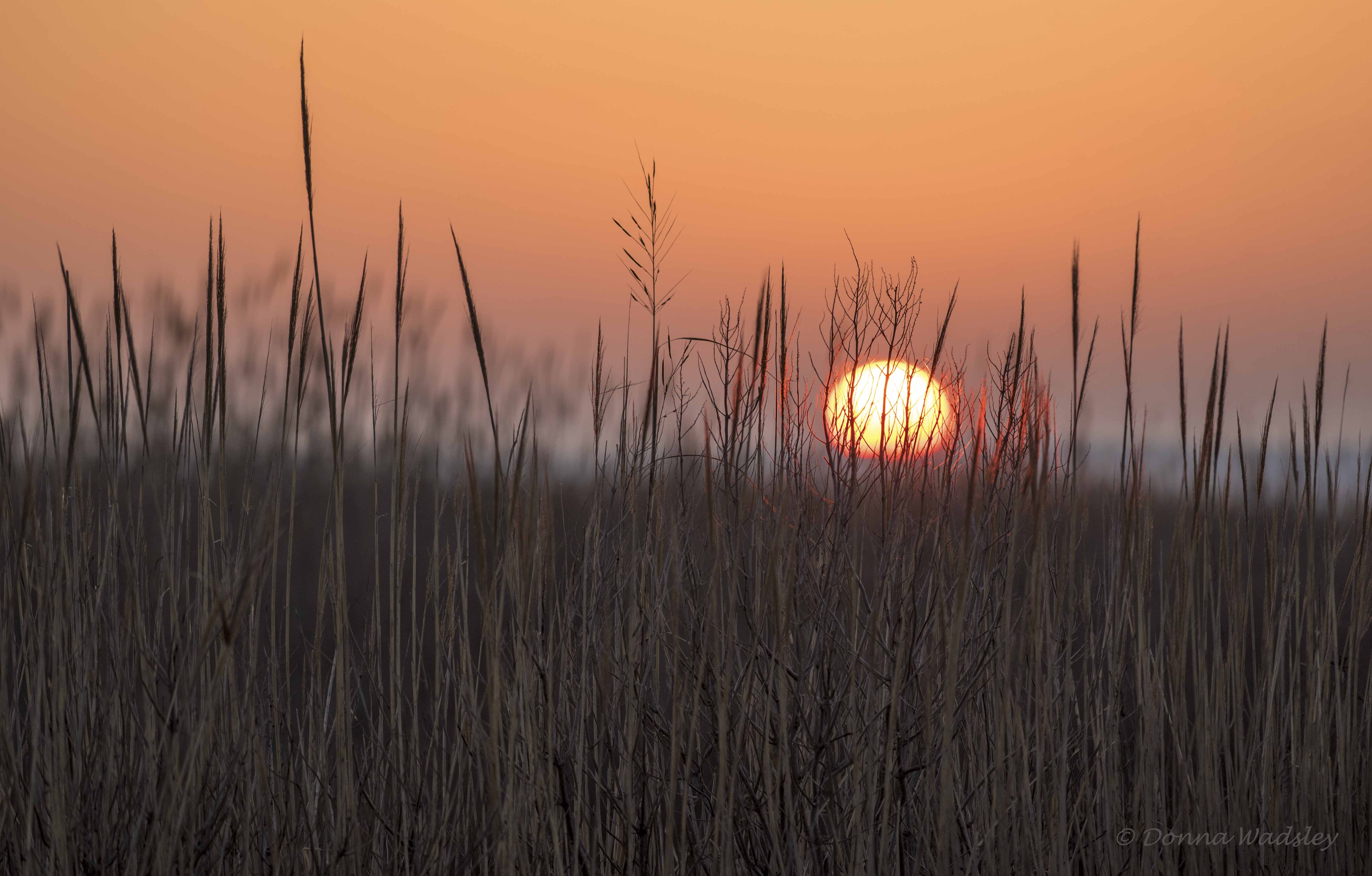 DSC_4591 (2)-1 030123