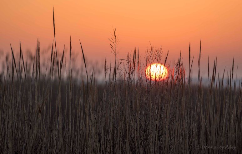 DSC_4591 (2)-1 030123