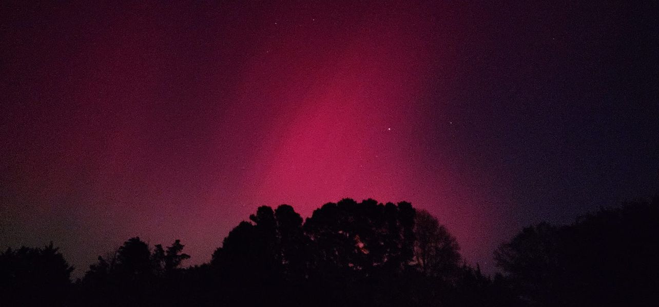 462090221_8752014548191829_6585744450515794291_n