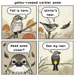 Warbler Yellow-rumped cartoon&nbsp;joke