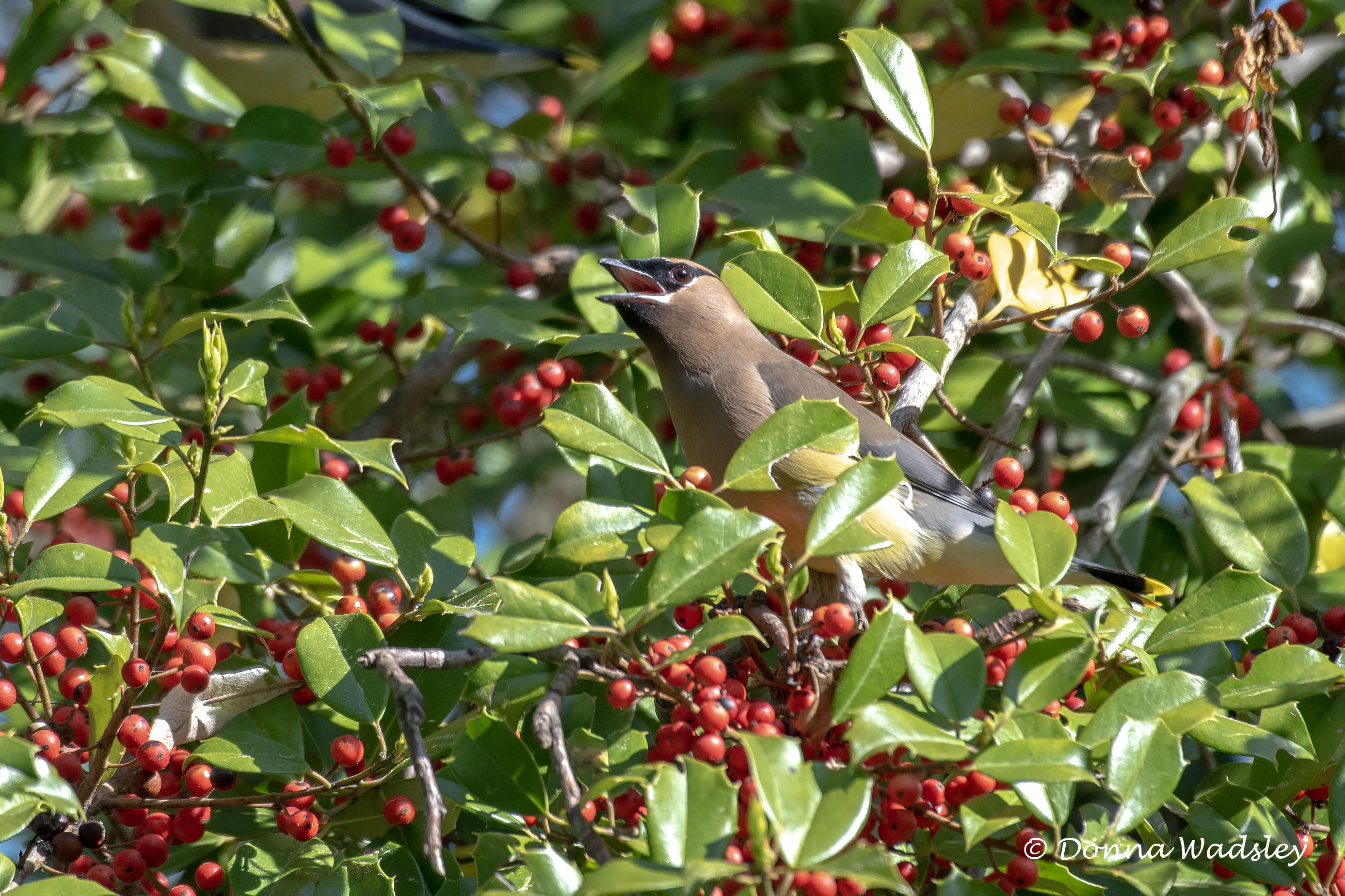 DSC_3626-1 042324 CEWA