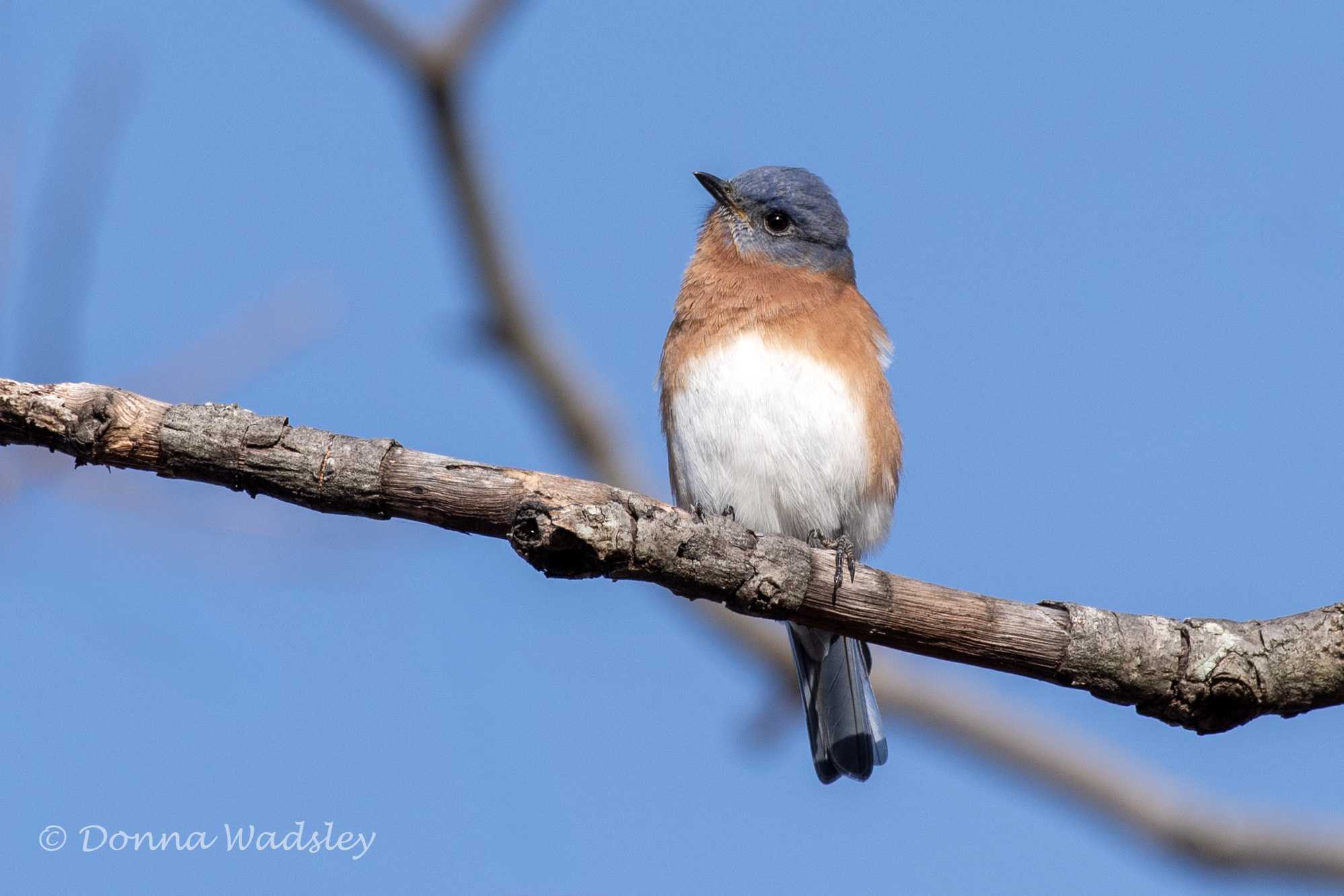 DSC_7293-1 102724 EABL