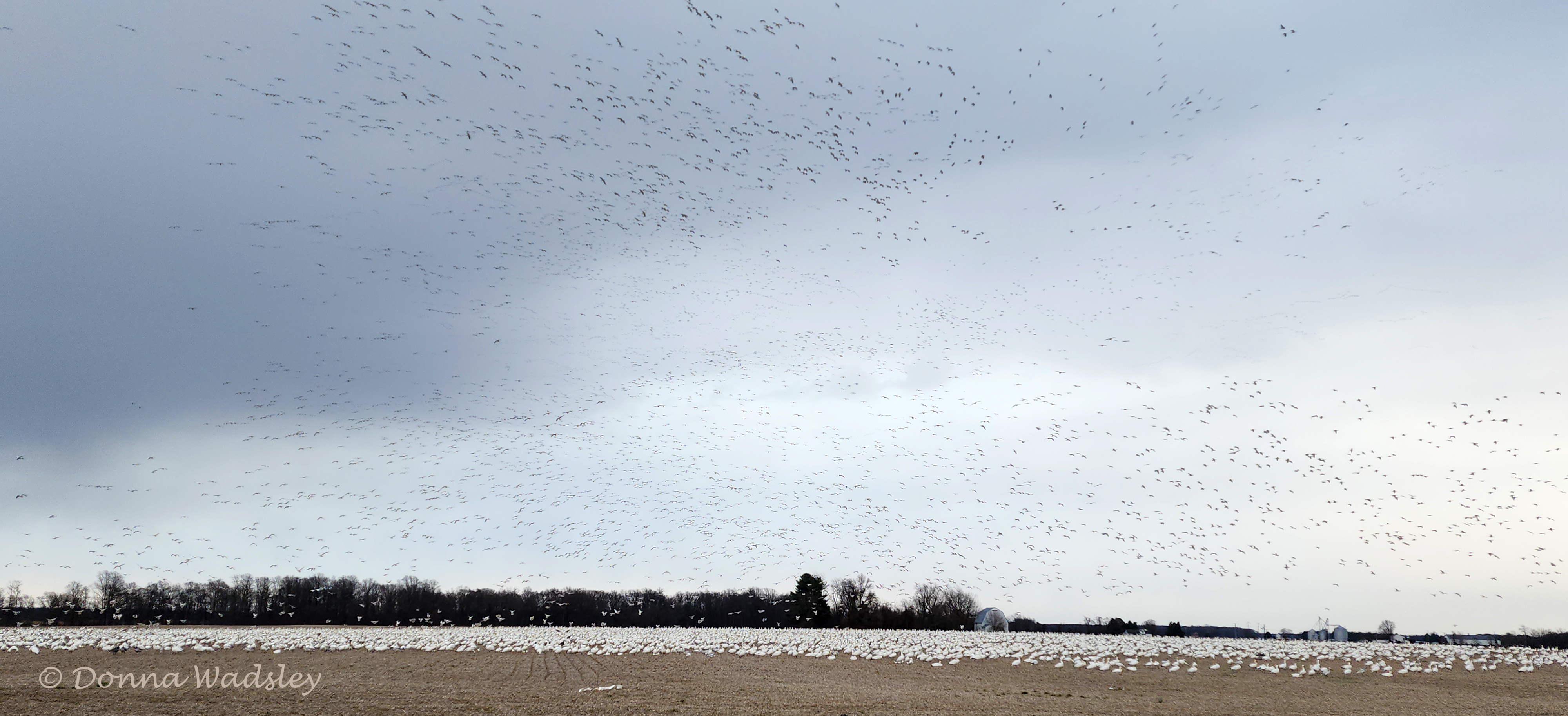 WadsleyD SNGO 010325 20250103_153515